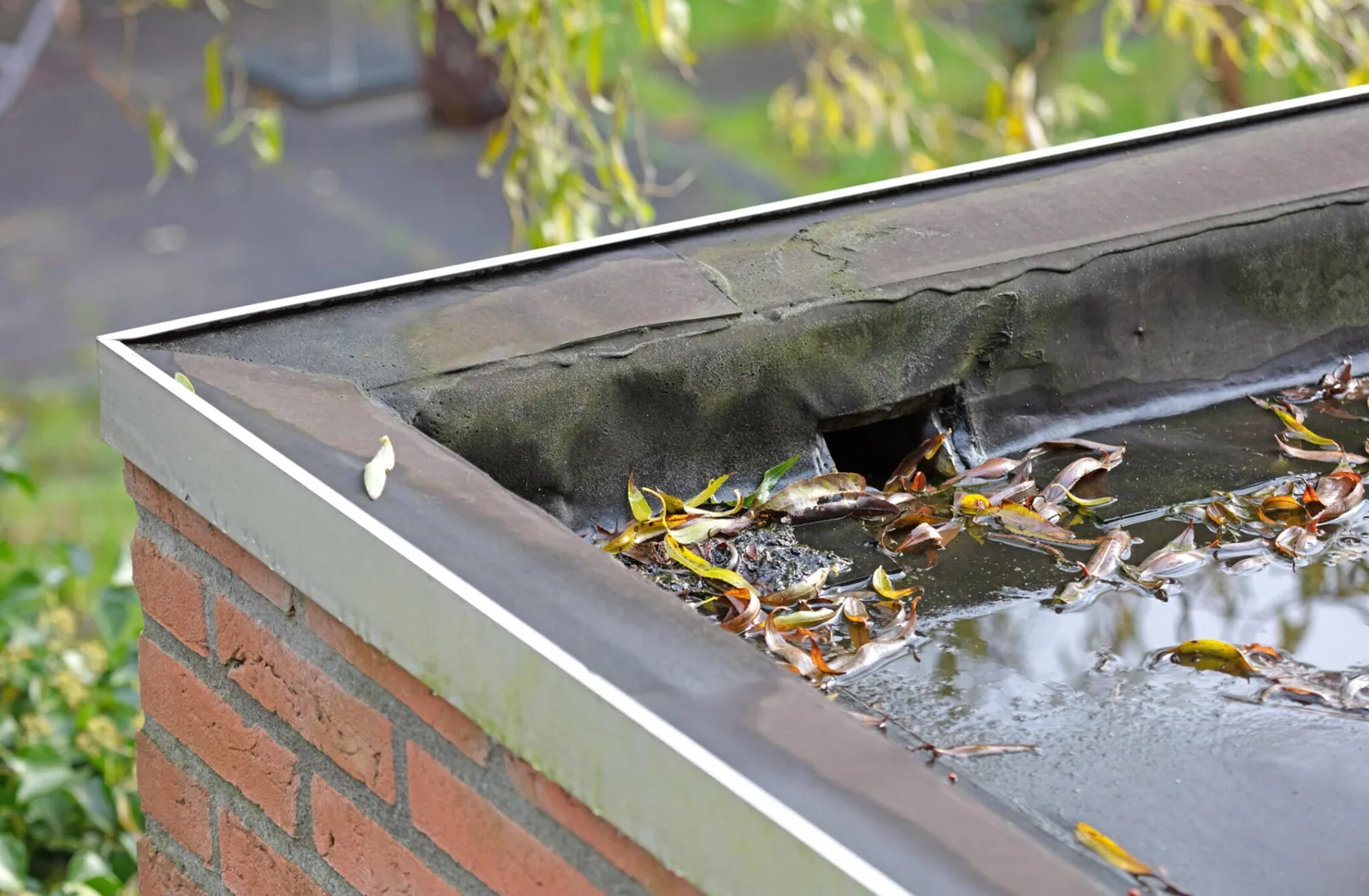 Roof Drains, Scuppers and Ponding Correction in Greenville, TX